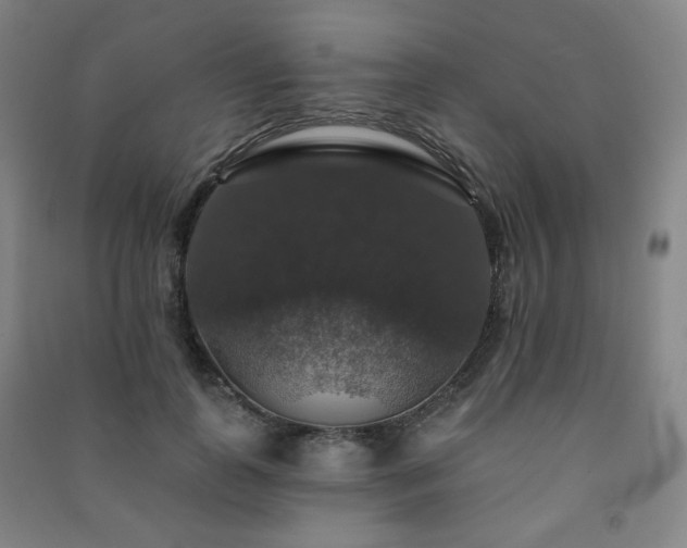 X0000091460747200708161522