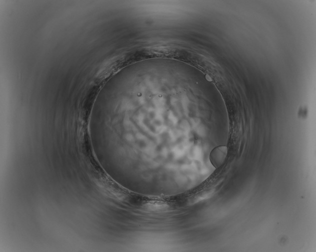 X0000091460749200708161522