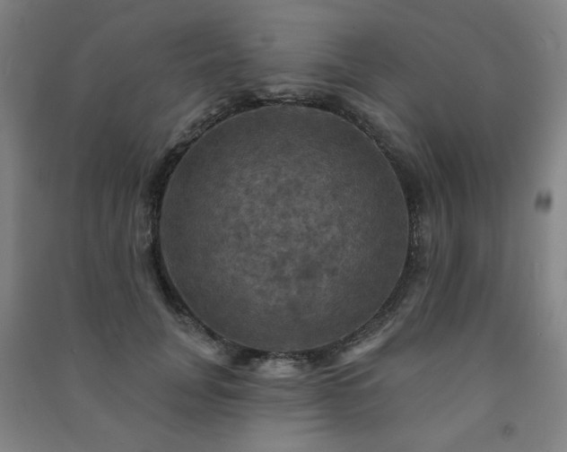 X0000091460751200708161522