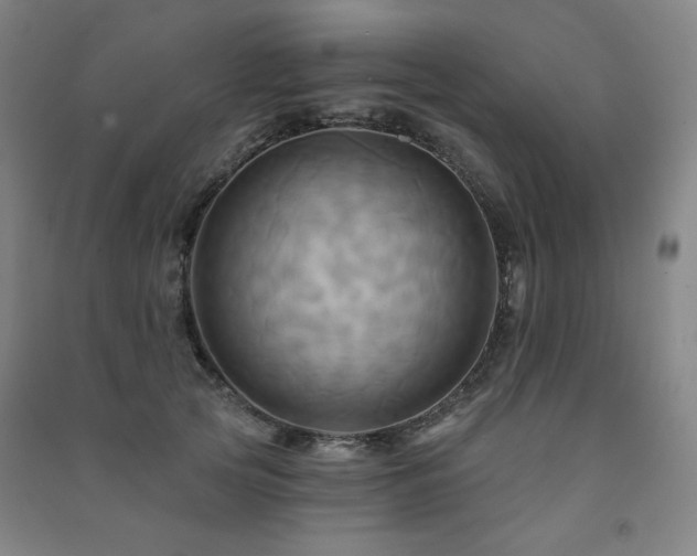 X0000091460753200708161522