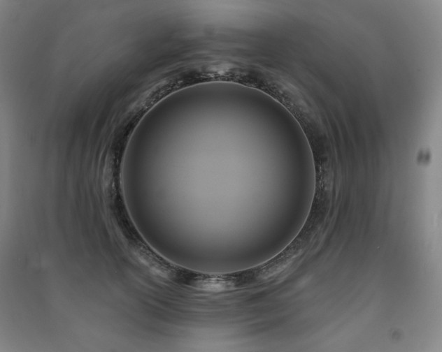 X0000091460754200708161522