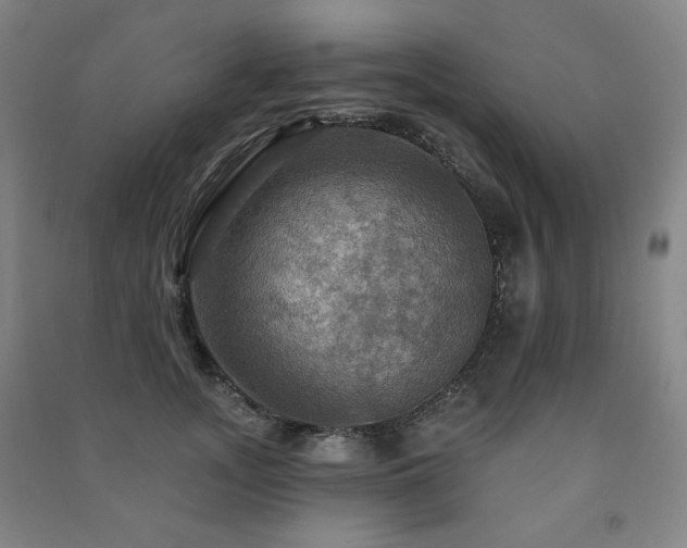 X0000091460755200708161522