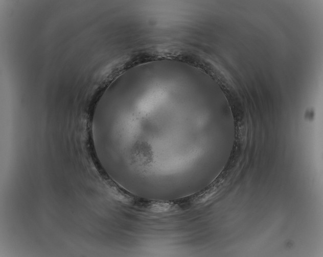 X0000091460757200708161522