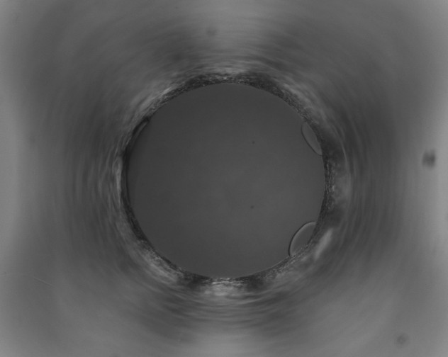 X0000091460758200708161522