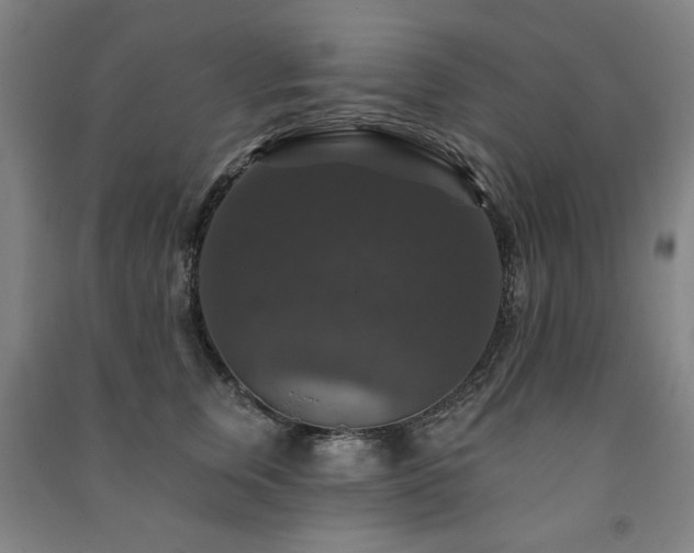 X0000091460759200708161522