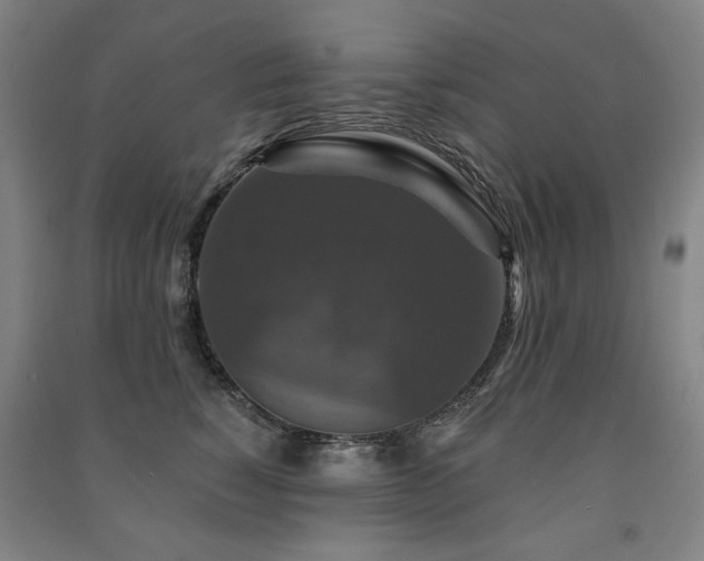 X0000091460760200708161522