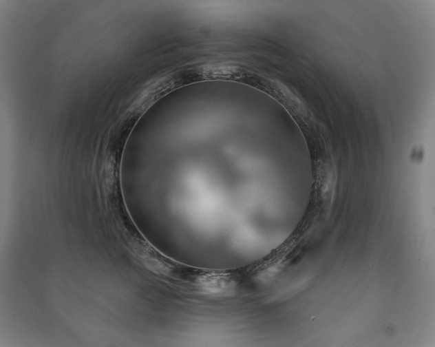 X0000091460761200708161522