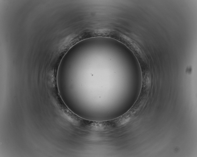 X0000091460764200708161522