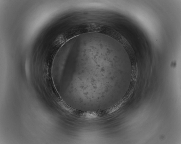 X0000091460765200708161522