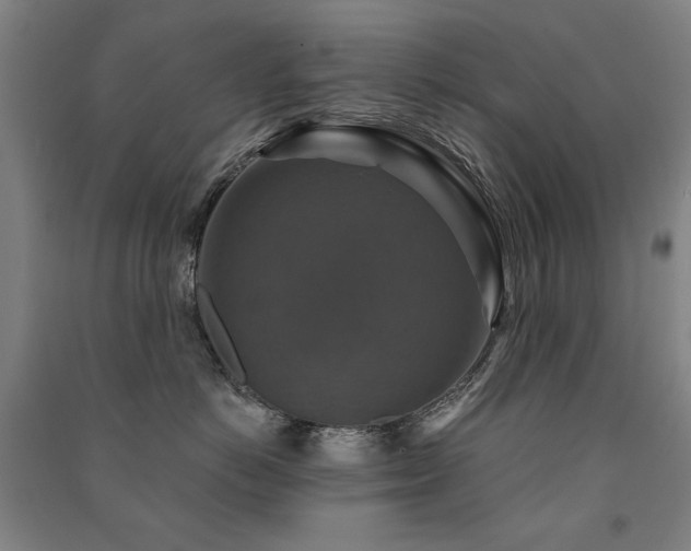 X0000091460766200708161522