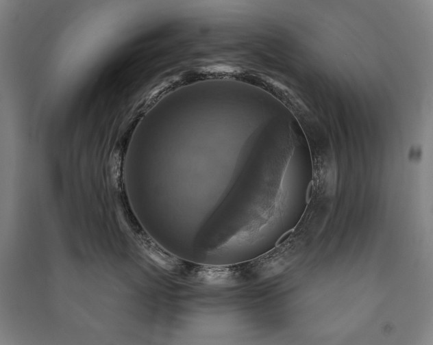 X0000091460767200708161522