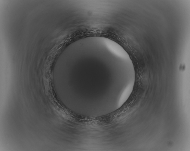 X0000091460769200708161522