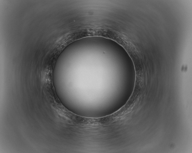 X0000091460770200708161522