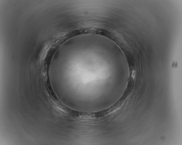X0000091460771200708161522