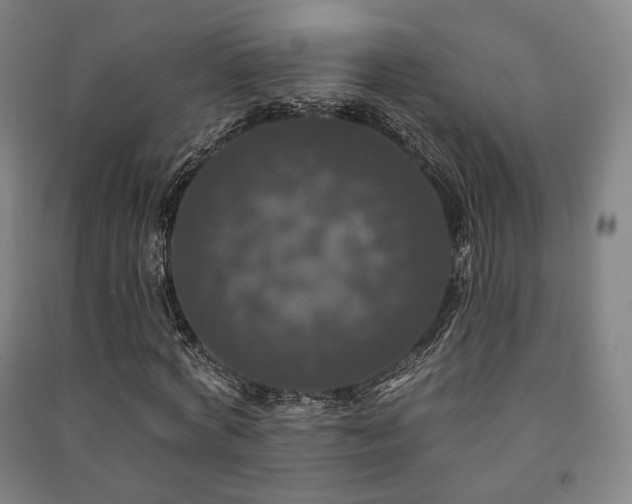 X0000091460772200708161522