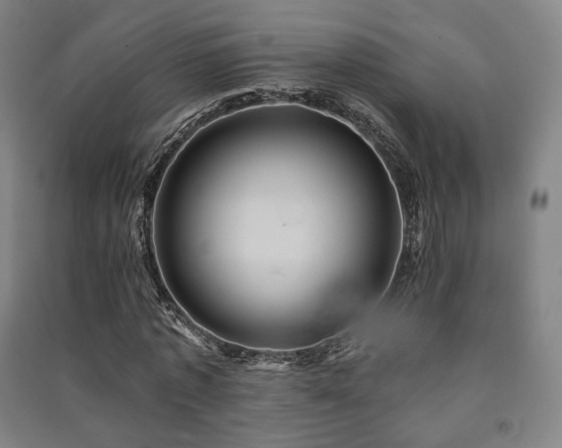 X0000091460773200708161522