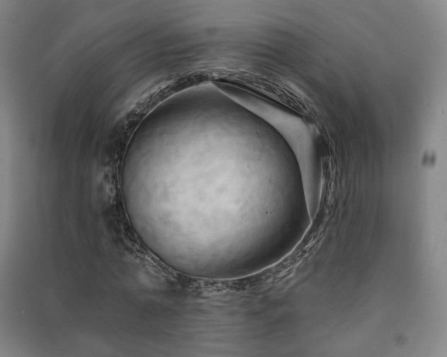 X0000091460774200708161522