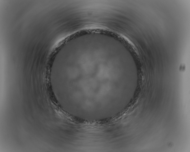 X0000091460775200708161522