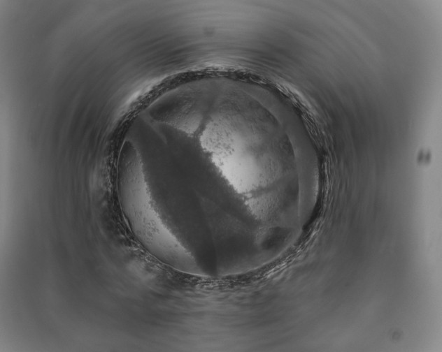 X0000091460776200708161522