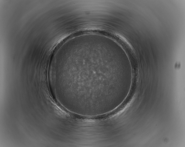 X0000091460777200708161522
