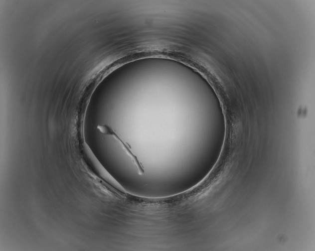 X0000091460778200708161522