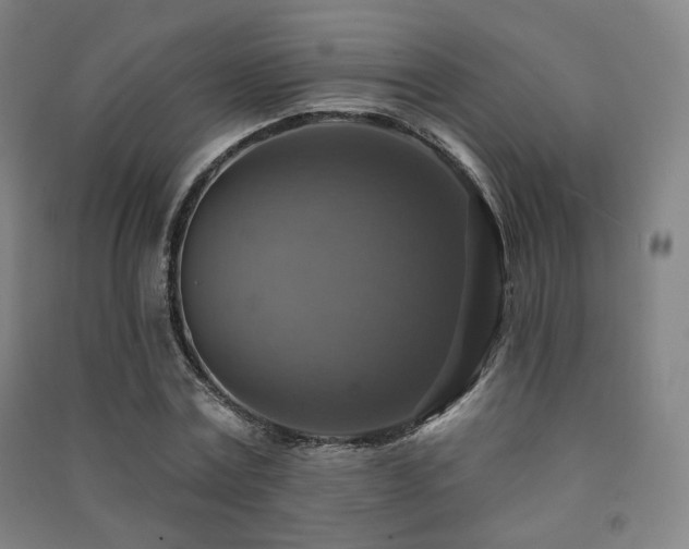 X0000091460779200708161522