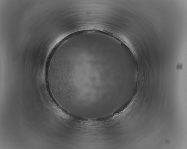 X0000091460780200708161522