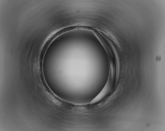 X0000091460784200708161521