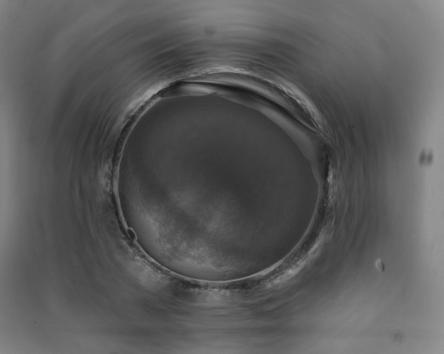 X0000091460785200708161521