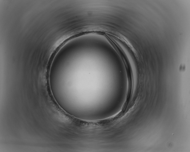 X0000091460786200708161521