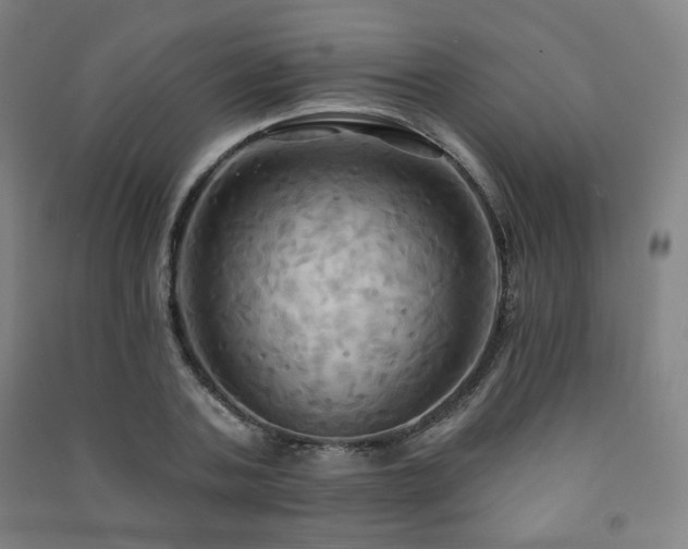 X0000091460787200708161521