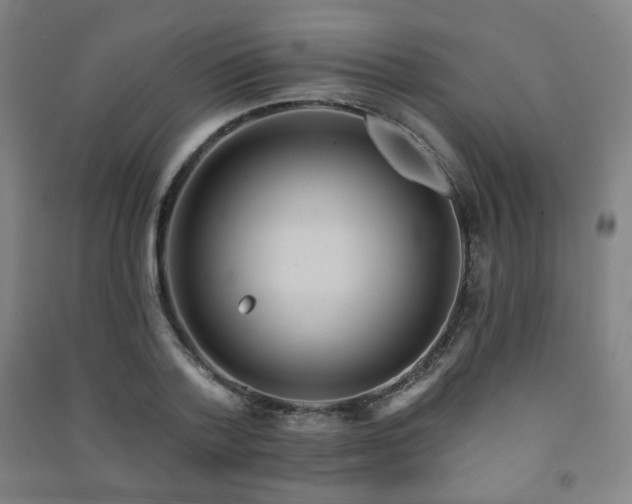 X0000091460788200708161521