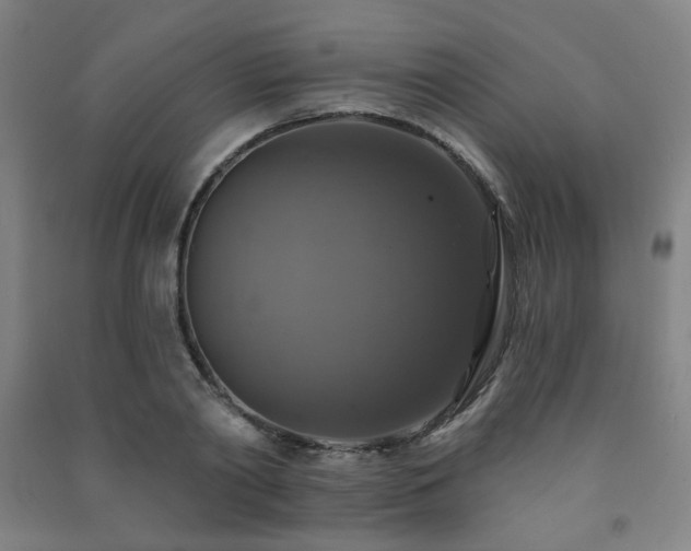 X0000091460790200708161521