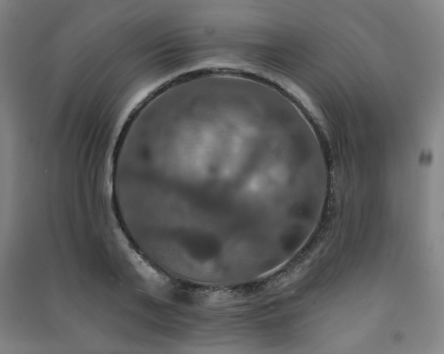 X0000091460791200708161521