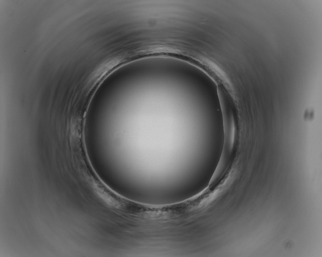 X0000091460793200708161521