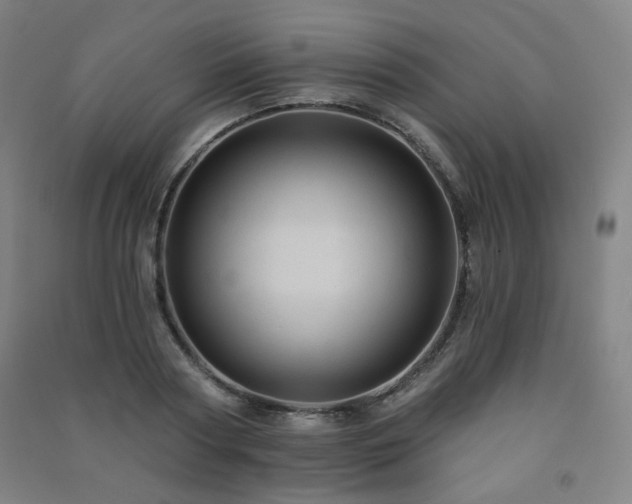 X0000091460794200708161521