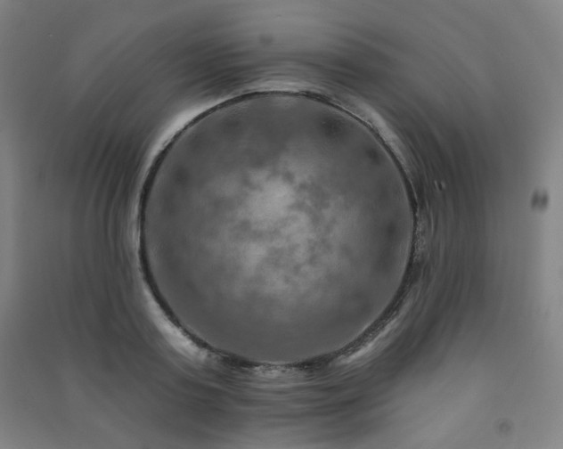 X0000091460795200708161521