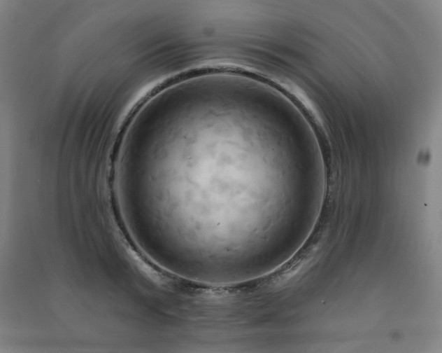 X0000091460799200708161521