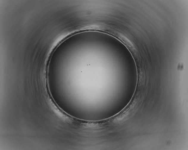 X0000091460800200708161521