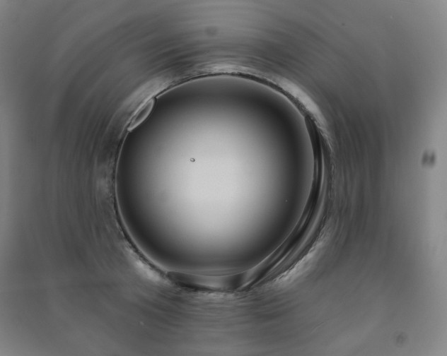 X0000091460801200708161521