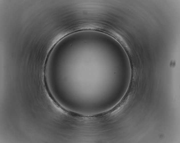 X0000091460802200708161521