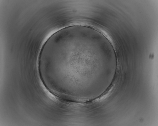 X0000091460803200708161521