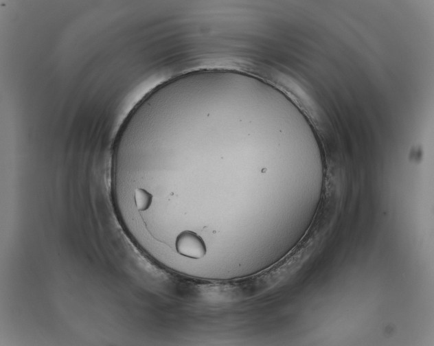 X0000091460804200708161521