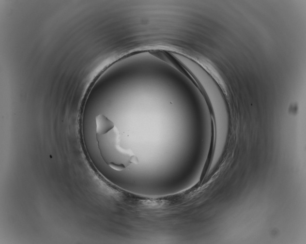 X0000091460805200708161521