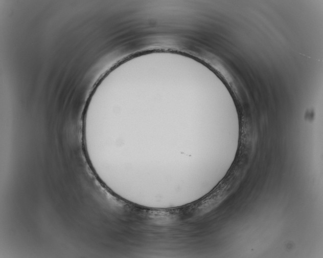 X0000091460807200708161521