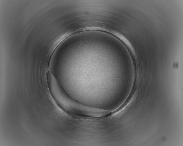 X0000091460809200708161521