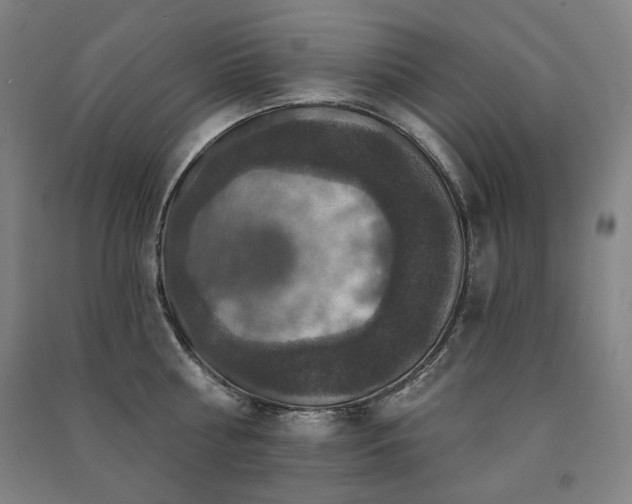 X0000091460810200708161521