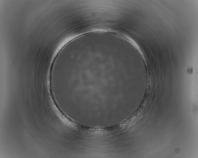 X0000091460811200708161521