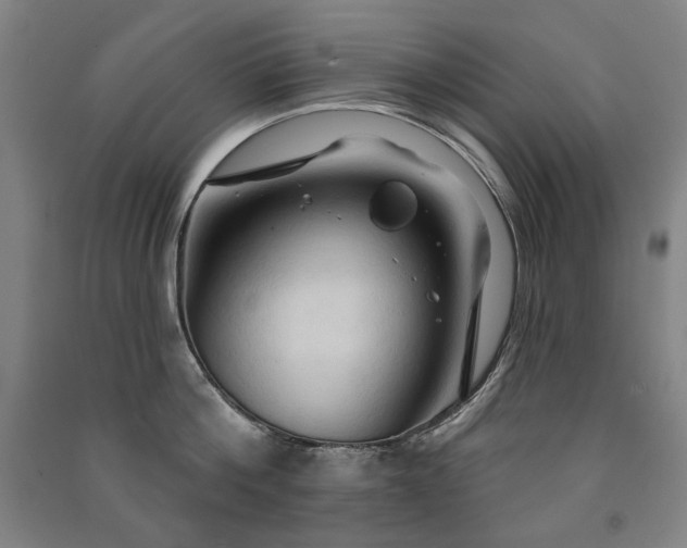 X0000091460812200708161521