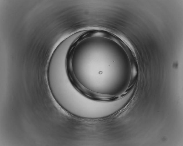 X0000091460813200708161521
